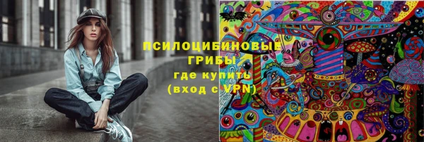 соль ск Аркадак