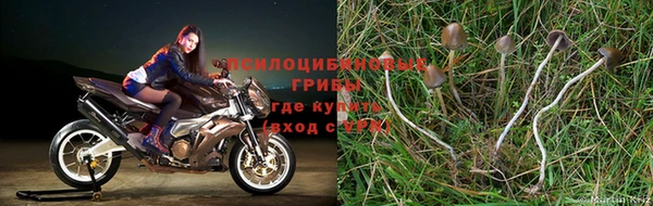 синтетический гашиш Армянск