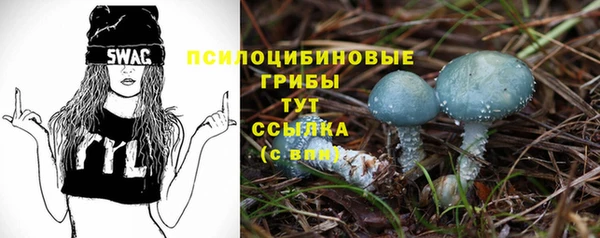 гидропоника Арсеньев